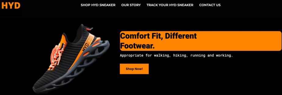 Home page of Hyd Sneaker an example of a one product store