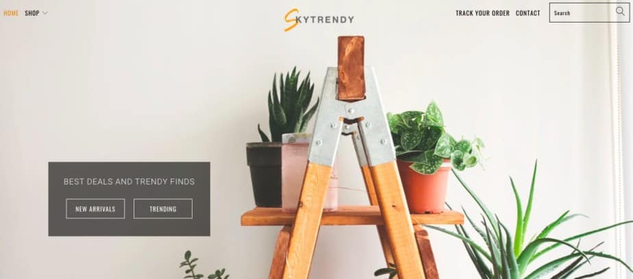 Home page of general dropshipping store Skytrendy