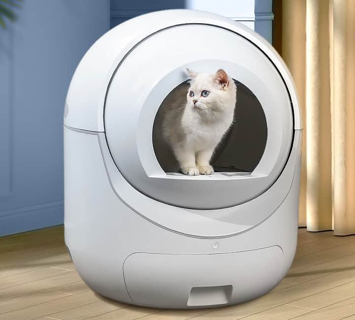 Cat self cleaning toilet