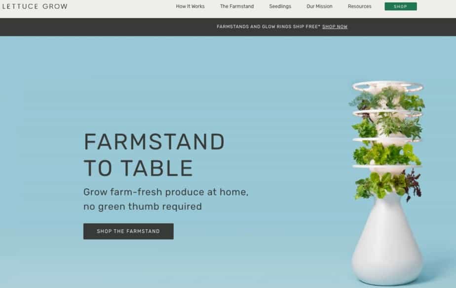 Home page for eCommerce store Lettuce Grow