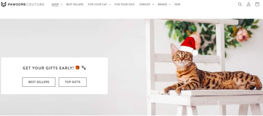 Example of an online pet store called Pawsome Couture.