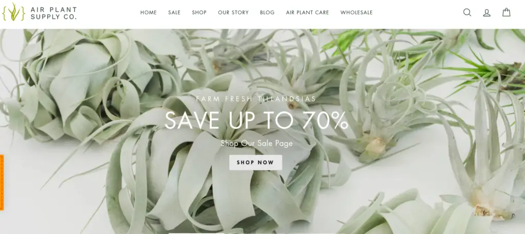 Air Plant Supply Co is an example of a Shopify store using the impulse theme.