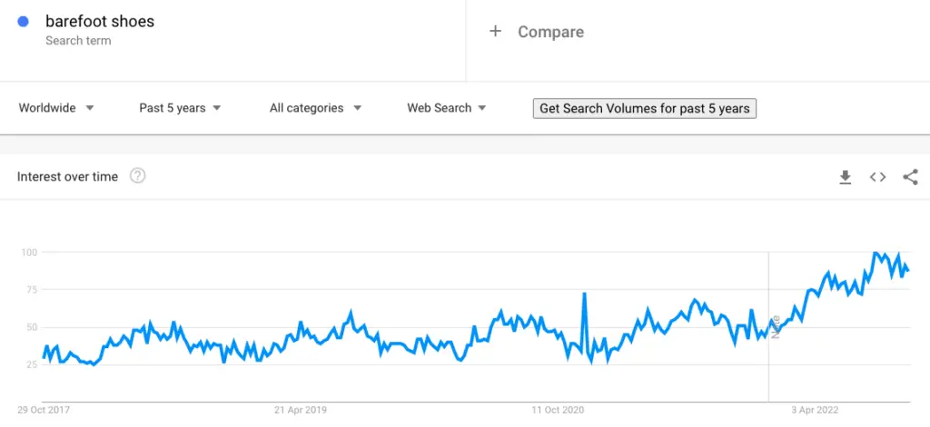Google trends search term for barefoot shoes