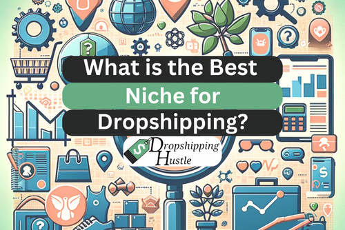 Best choice for dropshipping niche