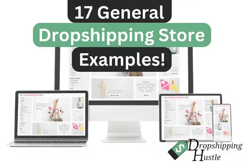 17 General Dropshipping Store Examples!