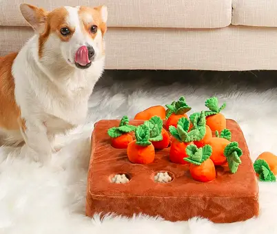 dog carrot toy