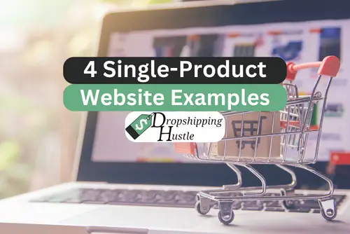 4 Single-Product Website Examples! (That Make Millions)