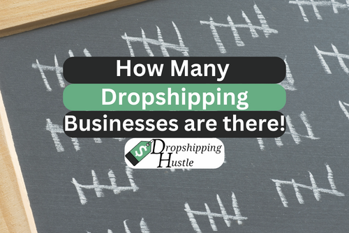 How many dropshipping businesses are there