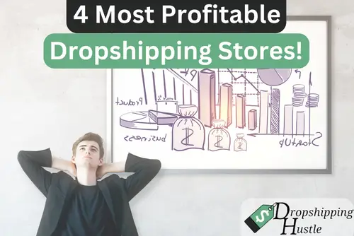 4 Most Profitable Dropshipping Stores! (Impressive)