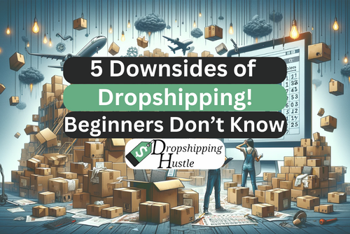 5 Downsides of Dropshipping (Beginners Don’t Know)